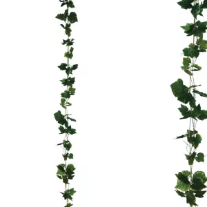 ΓΙΡΛΑΝΤΑ ΠΡΑΣΙΝΟ ΚΙΣΣΟΣ ΠΛΑΤΥΦΥΛΛΟΣ X3 - Υ270cm 1/132ΚΙΒΓΙΡΛΑΝΤΑ ΠΡΑΣΙΝΟ ΚΙΣΣΟΣ ΠΛΑΤΥΦΥΛΛΟΣ X3 - Υ270cm 1/132ΚΙΒ