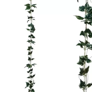 ΓΙΡΛΑΝΤΑ ΔΙΧΡΩΜΟ ΠΡΑΣΙΝΟ ΚΙΣΣΟΣ Χ3 - Υ270cm 1/132ΚΙΒΓΙΡΛΑΝΤΑ ΔΙΧΡΩΜΟ ΠΡΑΣΙΝΟ ΚΙΣΣΟΣ Χ3 - Υ270cm 1/132ΚΙΒ