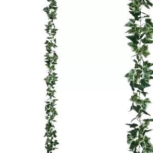 ΓΙΡΛΑΝΤΑ ΚΙΣΣΟΣ ΔΙΧΡΩΜΟΣ Υ270cm 1/96ΚΙΒΓΙΡΛΑΝΤΑ ΚΙΣΣΟΣ ΔΙΧΡΩΜΟΣ Υ270cm 1/96ΚΙΒ