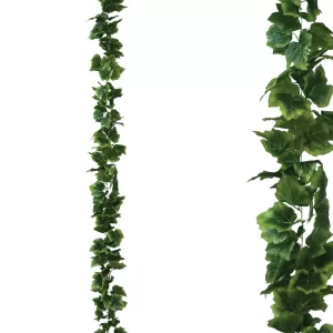 ΓΙΡΛΑΝΤΑ ΚΙΣΣΟΣ ΠΛΑΤΥΦΥΛΛΟΣ ΠΡΑΣΙΝΟ - Y270cm 1/96ΚΙΒΓΙΡΛΑΝΤΑ ΚΙΣΣΟΣ ΠΛΑΤΥΦΥΛΛΟΣ ΠΡΑΣΙΝΟ - Y270cm 1/96ΚΙΒ