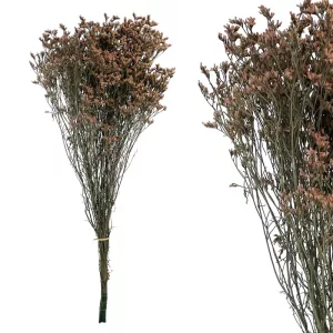 ΚΛΑΔΙ ΣΑΠΙΟ ΜΗΛΟ CRYSTAL GRASS ΑΠΟΞΗΡΑΜΕΝΟ 6~8ΤΜΧ/ΜΑΤΣΟ Υ60~70cm, 25~30cm ΤΟ ΑΝΘΟΣ- 100/ΚΙΒΚΛΑΔΙ ΣΑΠΙΟ ΜΗΛΟ CRYSTAL GRASS ΑΠΟΞΗΡΑΜΕΝΟ 6~8ΤΜΧ/ΜΑΤΣΟ Υ60~70cm, 25~30cm ΤΟ ΑΝΘΟΣ- 100/ΚΙΒ