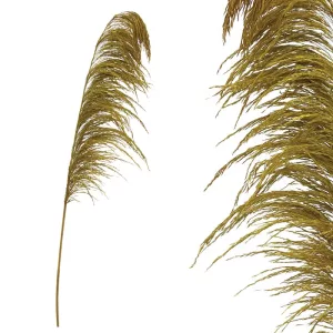ΚΛΑΔΙ ΧΡΥΣΟ ΠΑΜΠΑΣ ΑΠΟΞΗΡΑΜΕΝΟ 1TMX Υ145~150cm,70~88cm ΤΟ ΑΝΘΟΣ-250/ΚΙΒΚΛΑΔΙ ΧΡΥΣΟ ΠΑΜΠΑΣ ΑΠΟΞΗΡΑΜΕΝΟ 1TMX Υ145~150cm,70~88cm ΤΟ ΑΝΘΟΣ-250/ΚΙΒ