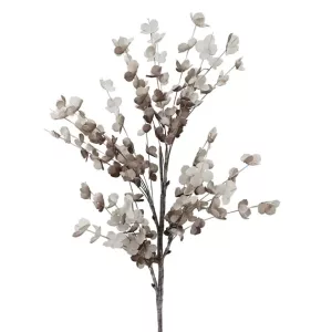 FOAM ΓΚΡΙ  ΕΥΚΑΛΥΠΤΟΣ Y108cm 6/60KIBFOAM ΓΚΡΙ  ΕΥΚΑΛΥΠΤΟΣ Y108cm 6/60KIB