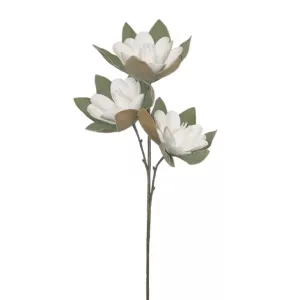 FOAM ΛΕΥΚΟ ΜΑΝΩΛΙΑ x3 ΑΝΘΟΣ 35x85cm 6/60KIBFOAM ΛΕΥΚΟ ΜΑΝΩΛΙΑ x3 ΑΝΘΟΣ 35x85cm 6/60KIB