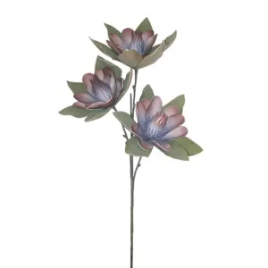 FOAM ΜΠΛΕ-ΚΑΦΕ ΜΑΝΩΛΙΑ x3 ΑΝΘΟΣ 35x85cm 6/60ΚΙΒFOAM ΜΠΛΕ-ΚΑΦΕ ΜΑΝΩΛΙΑ x3 ΑΝΘΟΣ 35x85cm 6/60ΚΙΒ