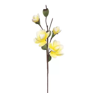 FOAM ΚΙΤΡΙΝΟ ΑΝΘΟΣ ΚΑΜΕΛΙΑ Χ6 40x85cm 12/120KIBFOAM ΚΙΤΡΙΝΟ ΑΝΘΟΣ ΚΑΜΕΛΙΑ Χ6 40x85cm 12/120KIB