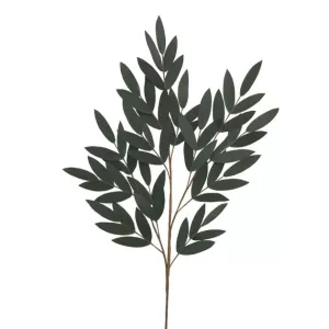 FOAM ΠΡΑΣΙΝΟ ΦΥΛΛΩΜΑ ΑΚΑΚΙΑΣ 70x113cm 12/48KIBFOAM ΠΡΑΣΙΝΟ ΦΥΛΛΩΜΑ ΑΚΑΚΙΑΣ 70x113cm 12/48KIB