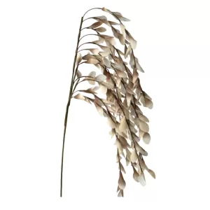 ΚΛΑΔΙ FOAM ΚΡΕΜΑΣΤΟ ΧΩΝΑΚΙΑ ΦΥΛΛΑ ΚΑΦΕ - 30x135cm 6/36ΚΙΒΚΛΑΔΙ FOAM ΚΡΕΜΑΣΤΟ ΧΩΝΑΚΙΑ ΦΥΛΛΑ ΚΑΦΕ - 30x135cm 6/36ΚΙΒ