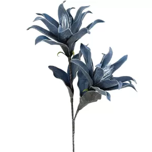 ΚΛΑΔΙ FOAM ΑΝΘΗ ΓΚΟΥΣΜΑΝΙΑ x2 ΜΠΛΕ - 15x95cm 8/24ΚΙΒΚΛΑΔΙ FOAM ΑΝΘΗ ΓΚΟΥΣΜΑΝΙΑ x2 ΜΠΛΕ - 15x95cm 8/24ΚΙΒ