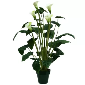 ΔΕΝΤΡΟ ΚΑΛΛΑΣ ΣΕ ΓΛΑΣΤΡΑ Y95cm. 4/KIBΔΕΝΤΡΟ ΚΑΛΛΑΣ ΣΕ ΓΛΑΣΤΡΑ Y95cm. 4/KIB