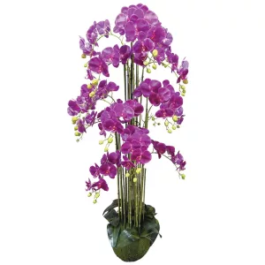 ΦΥΤΟ ΟΡΧΙΔΕΑ ΜΩΒ ΑΝΘΗ REAL TOUCH - Υ168cm 1/ΚΙΒΦΥΤΟ ΟΡΧΙΔΕΑ ΜΩΒ ΑΝΘΗ REAL TOUCH - Υ168cm 1/ΚΙΒ