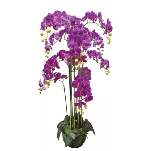 ΦΥΤΟ ΟΡΧΙΔΕΑ ΜΩΒ ΑΝΘΗ REAL TOUCH - Υ135cm 1/ΚΙΒΦΥΤΟ ΟΡΧΙΔΕΑ ΜΩΒ ΑΝΘΗ REAL TOUCH - Υ135cm 1/ΚΙΒ