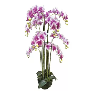ΦΥΤΟ ΟΡΧΙΔΕΑ ΔΙΧΡΩΜΟ ΜΩΒ/ΛΕΥΚΑ ΑΝΘΗ REAL TOUCH - Υ135cm 1/ΚΙΒΦΥΤΟ ΟΡΧΙΔΕΑ ΔΙΧΡΩΜΟ ΜΩΒ/ΛΕΥΚΑ ΑΝΘΗ REAL TOUCH - Υ135cm 1/ΚΙΒ