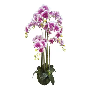 ΦΥΤΟ ΟΡΧΙΔΕΑ ΔΙΧΡΩΜΗ ΜΩΒ/ΛΕΥΚΑ ΑΝΘΗ REAL TOUCH - Υ118cm 1/ΚΙΒΦΥΤΟ ΟΡΧΙΔΕΑ ΔΙΧΡΩΜΗ ΜΩΒ/ΛΕΥΚΑ ΑΝΘΗ REAL TOUCH - Υ118cm 1/ΚΙΒ