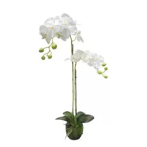 ΦΥΤΟ ΟΡΧΙΔΕΑ ΛΕΥΚΑ ΑΝΘΗ REAL TOUCH - Υ68cm 4/24ΚΙΒΦΥΤΟ ΟΡΧΙΔΕΑ ΛΕΥΚΑ ΑΝΘΗ REAL TOUCH - Υ68cm 4/24ΚΙΒ