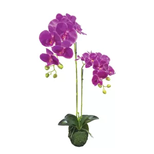 ΦΥΤΟ ΟΡΧΙΔΕΑ ΜΩΒ ΑΝΘΗ REAL TOUCH - Υ68cm 4/24ΚΙΒΦΥΤΟ ΟΡΧΙΔΕΑ ΜΩΒ ΑΝΘΗ REAL TOUCH - Υ68cm 4/24ΚΙΒ