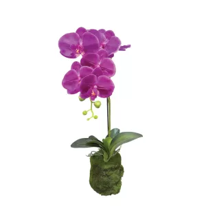 ΦΥΤΟ ΟΡΧΙΔΕΑ ΜΩΒ ΑΝΘΗ REAL TOUCH - Υ59cm 4/24ΚΙΒΦΥΤΟ ΟΡΧΙΔΕΑ ΜΩΒ ΑΝΘΗ REAL TOUCH - Υ59cm 4/24ΚΙΒ