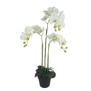 ΦΥΤΟ ΟΡΧΙΔΕΑ ΛΕΥΚΑ ΑΝΘΗ REAL TOUCH ΣΕ ΚΑΣΠΩ - Υ82cm 2/8ΚΙΒΦΥΤΟ ΟΡΧΙΔΕΑ ΛΕΥΚΑ ΑΝΘΗ REAL TOUCH ΣΕ ΚΑΣΠΩ - Υ82cm 2/8ΚΙΒ